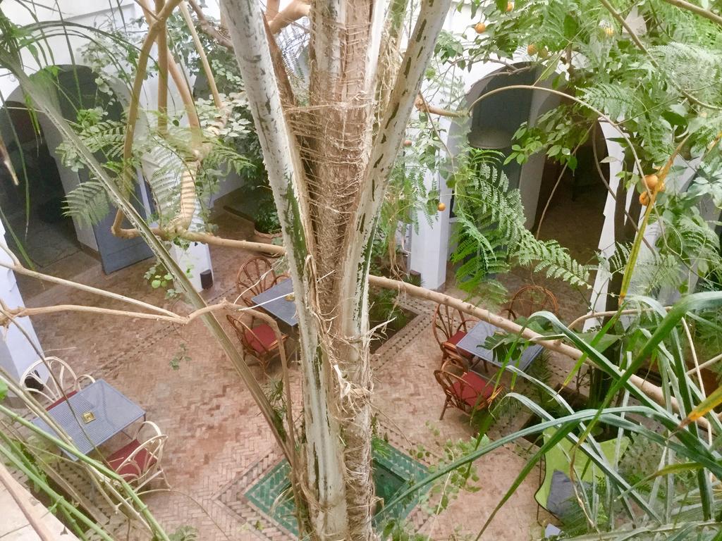 Dar Binebine Marrakesh Bagian luar foto
